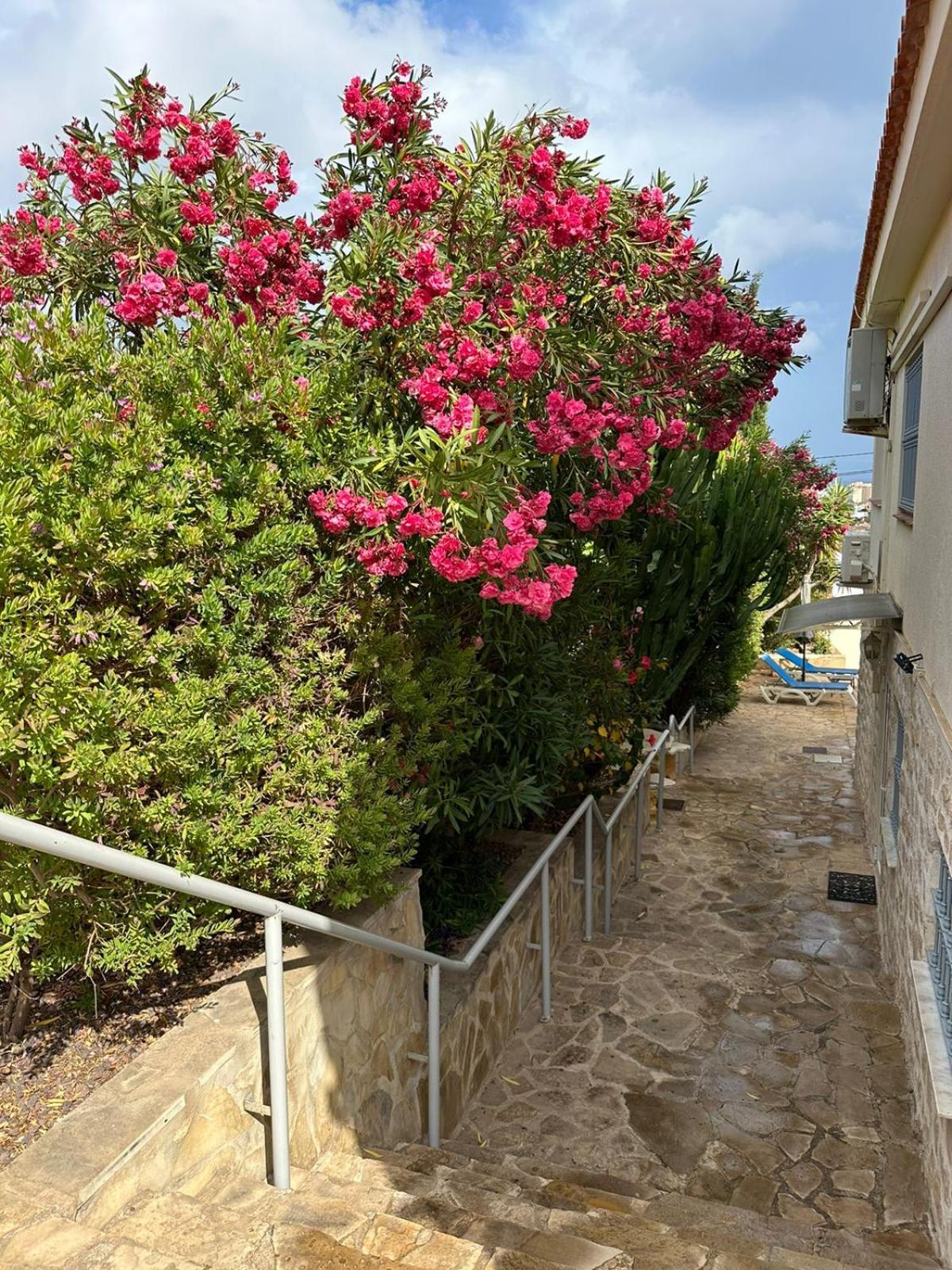 Apartamentos En La Villa Con El Territorio Comun En Calpe Exterior foto